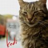 今日の映画 – 猫が教えてくれたこと（Kedi）